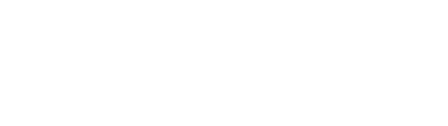 Synvix